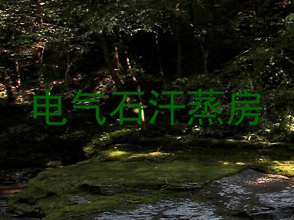 电气石汗蒸房