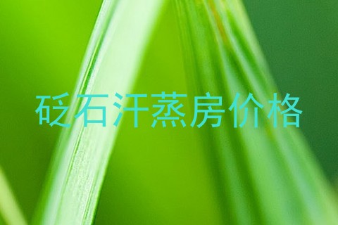 砭石汗蒸房价格