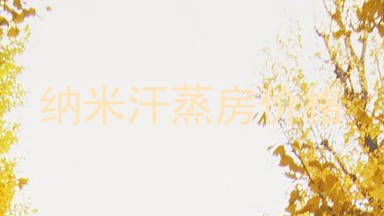 纳米汗蒸房价格