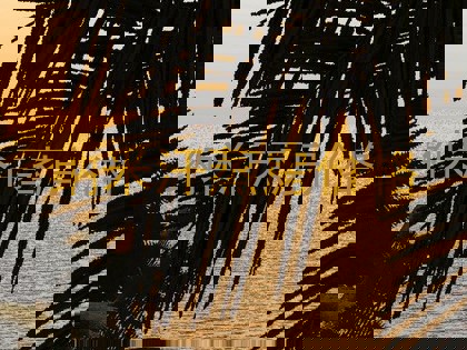 纳米汗蒸房价格