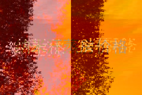 纳米汗蒸房价格