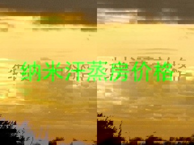 纳米汗蒸房价格