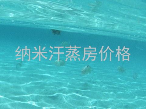 纳米汗蒸房价格