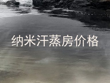 纳米汗蒸房价格