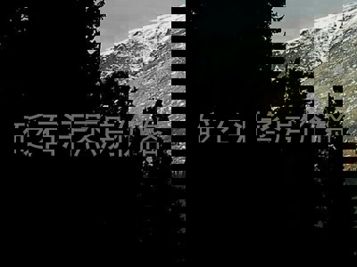 砭石汗蒸房价格