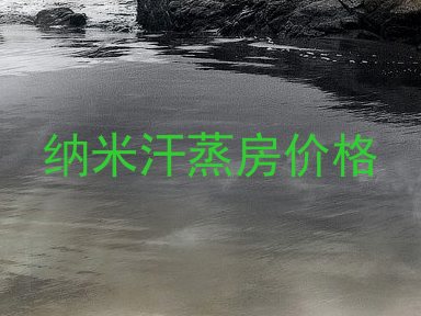 纳米汗蒸房价格
