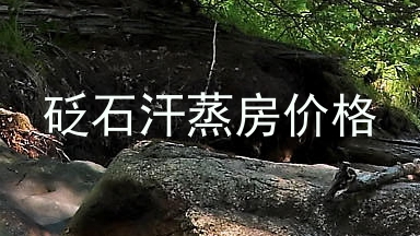 砭石汗蒸房价格