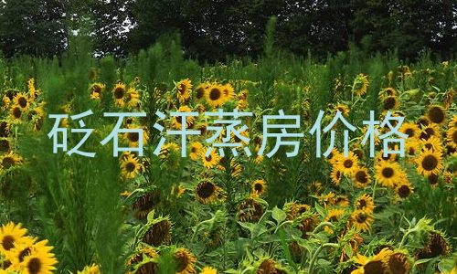 砭石汗蒸房价格