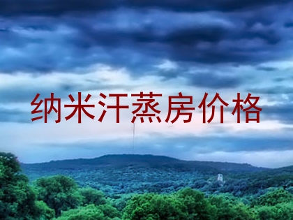 纳米汗蒸房价格