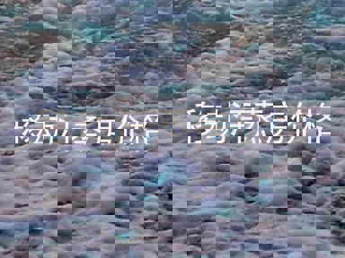 移动汗蒸房价格