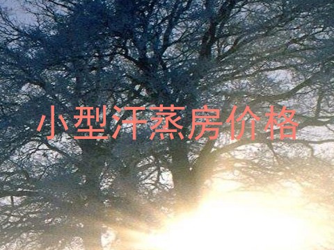 小型汗蒸房价格