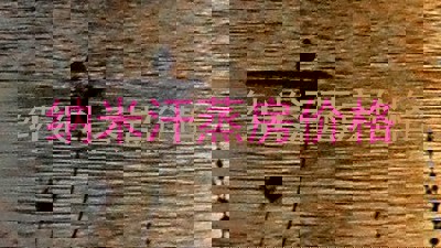 纳米汗蒸房价格