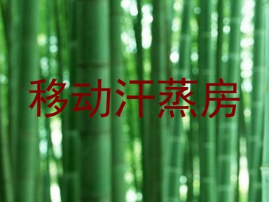 移动汗蒸房