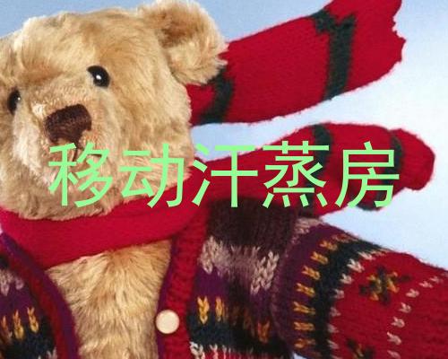 移动汗蒸房