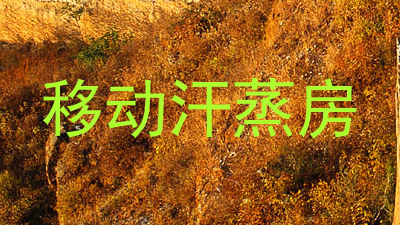 移动汗蒸房