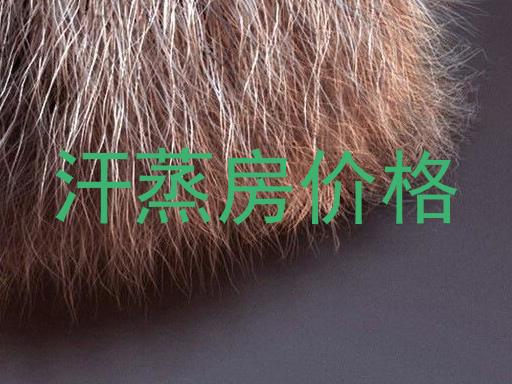 汗蒸房价格