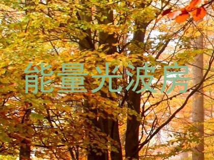 能量光波房