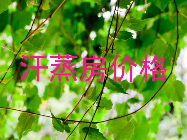 汗蒸房价格