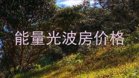 能量光波房价格