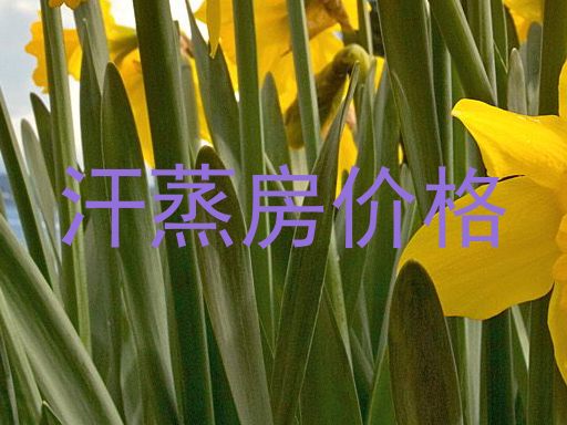 汗蒸房价格