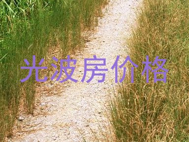 光波房价格