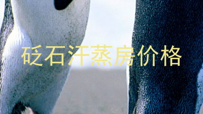 砭石汗蒸房价格
