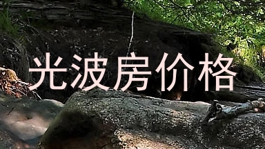 光波房价格