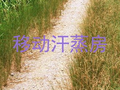 移动汗蒸房