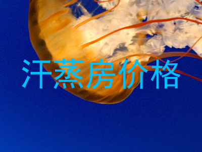 汗蒸房价格
