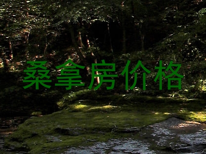 桑拿房价格