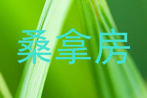 桑拿房