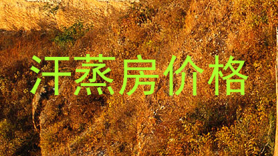 汗蒸房价格