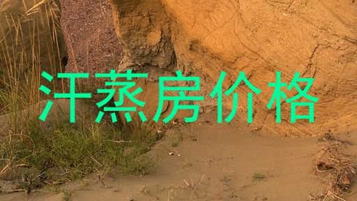 汗蒸房价格