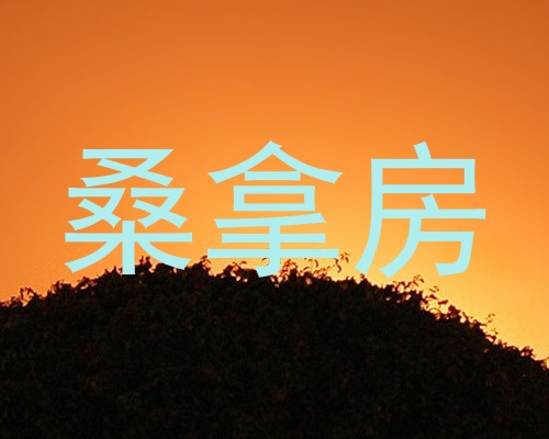 桑拿房