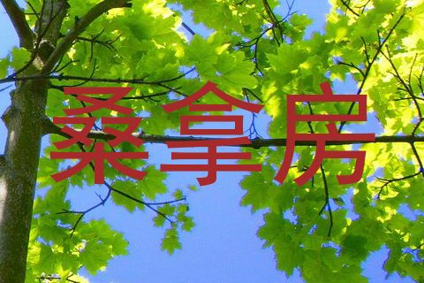 桑拿房