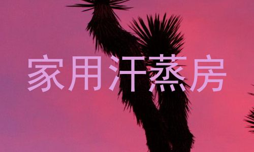 家用汗蒸房