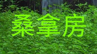 桑拿房