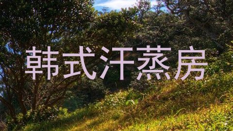 韩式汗蒸房