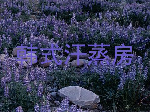 韩式汗蒸房