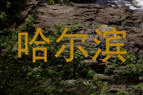 哈尔滨