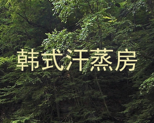 韩式汗蒸房
