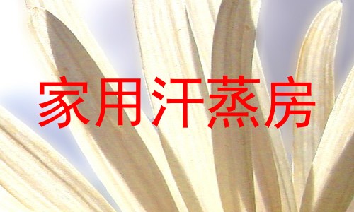 家用汗蒸房