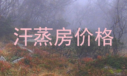 汗蒸房价格