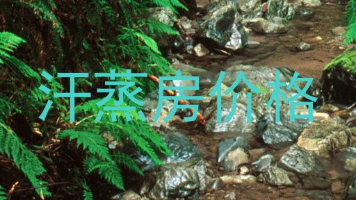 汗蒸房价格
