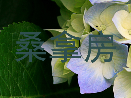桑拿房