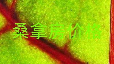 桑拿房价格