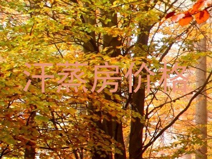 汗蒸房价格