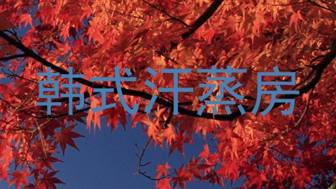 韩式汗蒸房