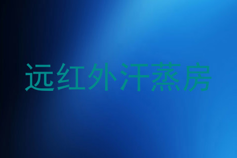 远红外汗蒸房