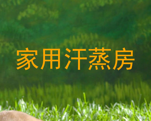 家用汗蒸房